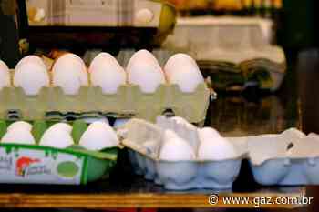 Dúzia de ovos dobra de preço nos supermercados de Santa Cruz - GAZ