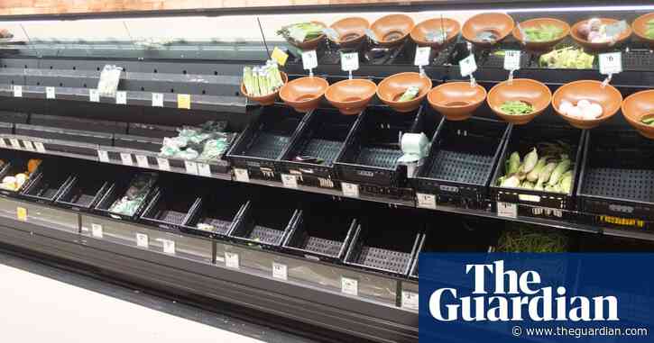 'I’ve never seen it like this': why vegetables are so expensive in Australia at the moment