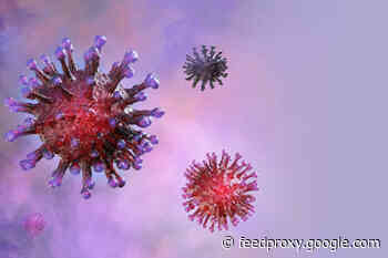 Closing in on the New Coronavirus