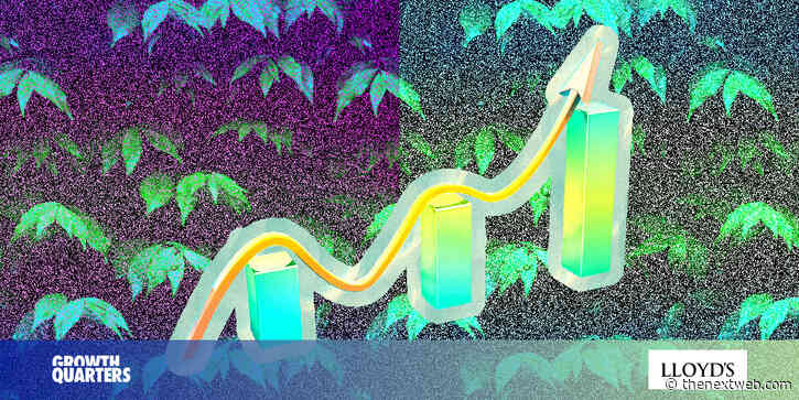 How I grew my third startup faster than ever before