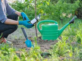 Rhode Island Homeowners: How To Nourish And Protect Garden Plants - Patch.com
