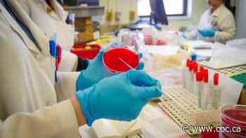 How invoking the Emergencies Act could help Canada better track, contain COVID-19