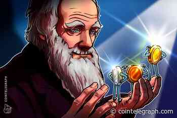 Getting Ready for the Altcoin Resurgence