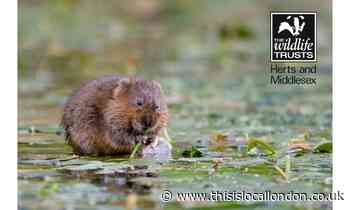 Wildlife trust brings nature closer to those in isolation
