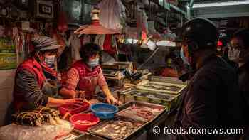 Coronavirus investigators one step closer to solving mystery of 'patient zero' 