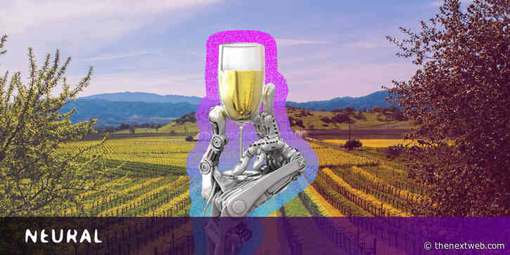 What winemaking has taught me about artificial intelligence