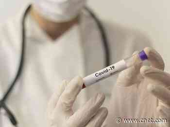 At-home coronavirus tests: Everything you should know     - CNET
