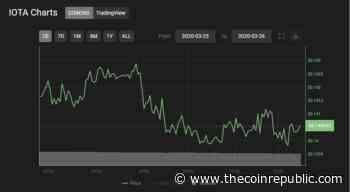 IOTA (MIOTA) Price Analysis: IOTA Altcoin Price Faces Strong Resistance At $0.15 - The Coin Republic