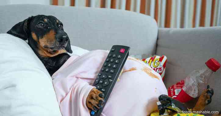 How to clean your greasy remote control
