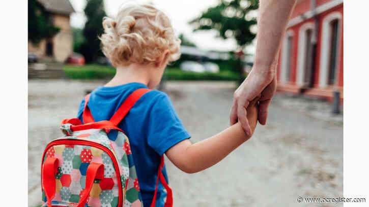 Coronavirus complicates already-trying child custody issues