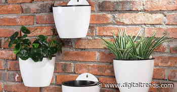 The best indoor herb gardens for 2020
