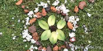 Metro Atlanta Fine Arts, PE Teachers Look For New Ways To Keep Students Engaged Online - WABE 90.1 FM