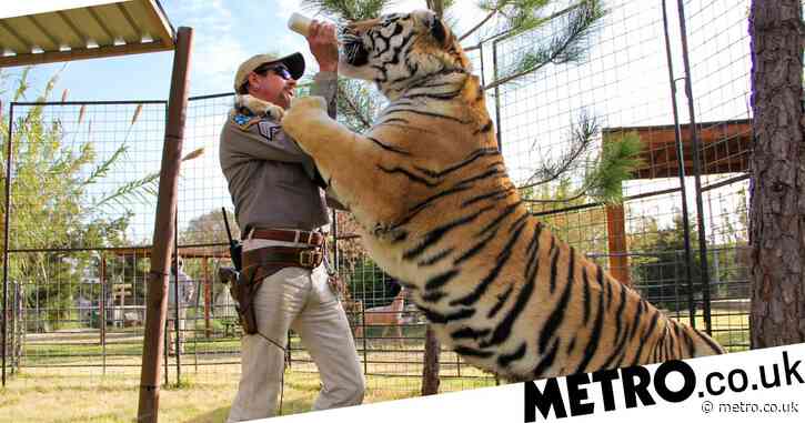 Tiger King: Is G.W. Zoo still open and where are all the tigers now Joe Exotic is in prison?