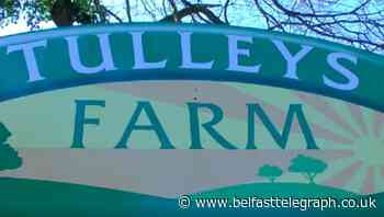 Sussex farm creates drive-thru shop to help protect customers from Covid-19
