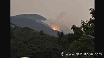 Incendio forestal afecta 10 hectáreas de bosque nativo en Ebéjico, Antioquia - Minuto30.com