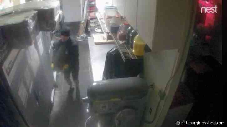 Ross Township Police Investigating Burglary Of Pizza Shop, Attempted Burglary Of Beer Store