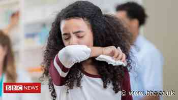 Coronavirus: What it does to the body