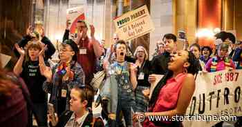 St. Paul City Council considers banning conversion therapy for minors