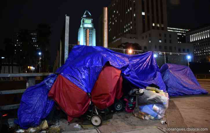 Person In Isolation May Be First Homeless COVID-19 Case In LA