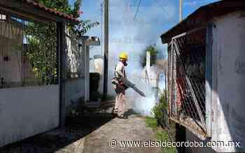 Dengue aumenta en Veracruz, confirman 564 casos - El Sol de Córdoba