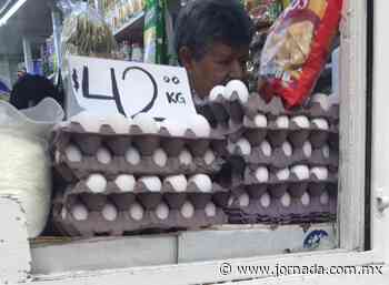 Denuncian aumento injustificado de precios en Veracruz - Estados - La Jornada