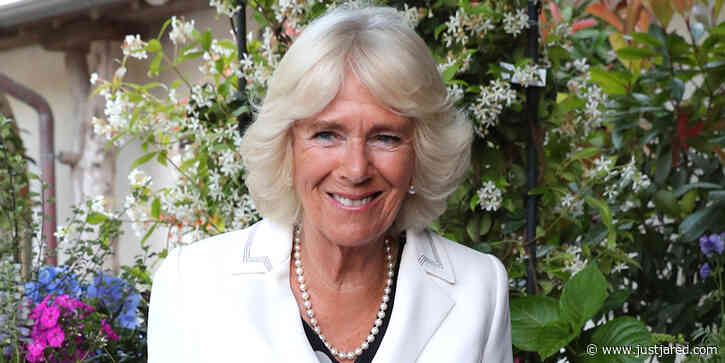 Duchess Camilla Releases Important Message About Domestic Violence During Quarantine