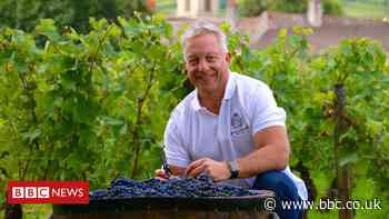 'I bought a winery and it caused a US-French row'