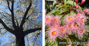 How a College Final Became a Lesson in Survival