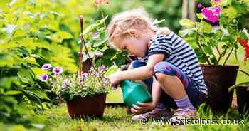 Fun ways you and the kids can reconnect with nature in the garden