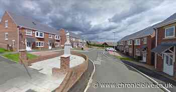 Two men arrested after street fight in Gateshead leaves two in hospital