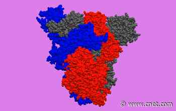 Your laptop can help fight COVID-19 with Folding@home project     - CNET