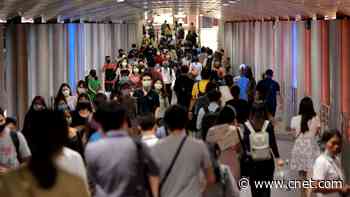 How to volunteer from home during the coronavirus pandemic video     - CNET