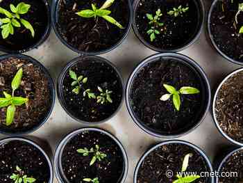 8 relaxing activities to help you cope with coronavirus stress     - CNET