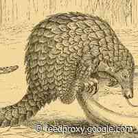 Shifting Ground: Are You Ready For A New Discourse For A New World?