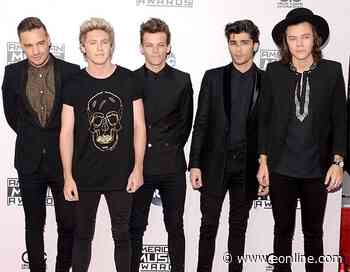 Remembering the Drama of the Day Zayn Malik Quit One Direction - E! Online