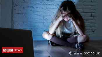 Coronavirus: Online child abuse warning during lockdown