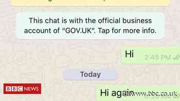 Coronavirus: UK’s WhatsApp bot working after false start