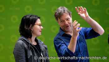 Corona-Bonds: Grüne fordern Vergemeinschaftung der Schulden in der Euro-Zone