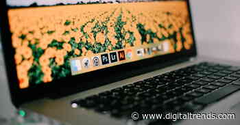 How much is Adobe Photoshop? 