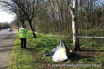 Man charged with murder of Cameron Murfitt near Woolwich Common