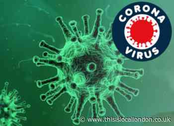 When does the Government predict the coronavirus pandemic will peak in the UK?