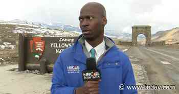 Reporter’s reaction to seeing a herd of bison is priceless