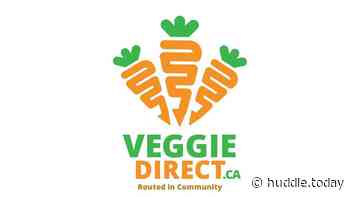 Fredericton Entrepreneur Launches Online Store For Plant-Based Products - Huddle Today