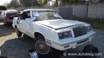 Junkyard Gem: 1982 Chrysler LeBaron Convertible
