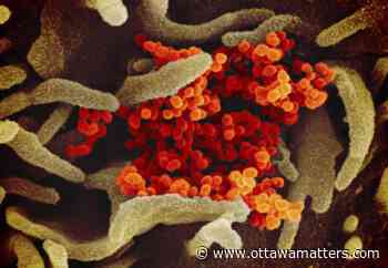 COVID-19 urgent care clinics 'ready-to-go' at two Ottawa hospitals - OttawaMatters.com