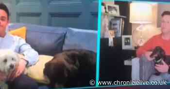 Inside Ant & Dec's homes as they host Takeaway from living rooms