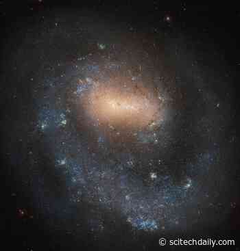 Hubble Hooks a Magnificent One-Arm Barred Spiral Galaxy
