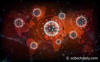 Stanford: How Humanity Has ‘Engineered a World Ripe for Pandemics’