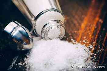 Too Much Salt in Your Diet Weakens Your Immune System