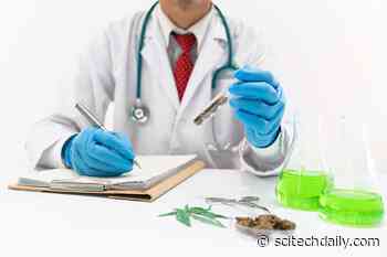 More Than 90% of Legal Marijuana Products Too Strong for Chronic Pain Relief